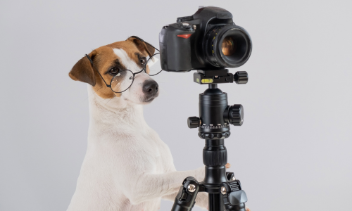 Foto e video professionali